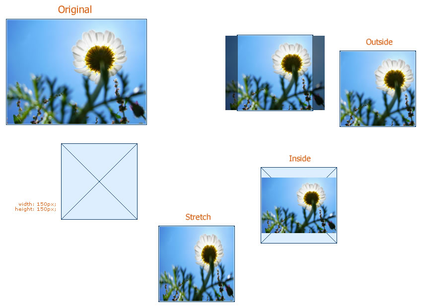 demo picture